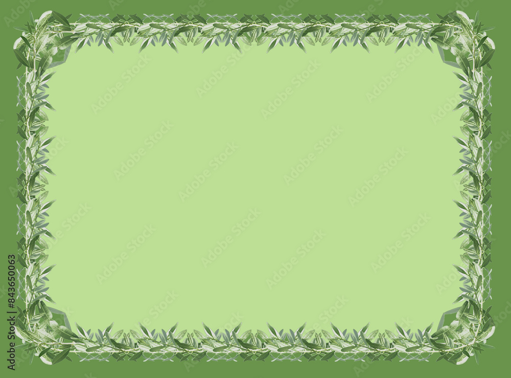 Cadre bordure rameaux d’oliviers Cadre bordure rameaux d’oliviers