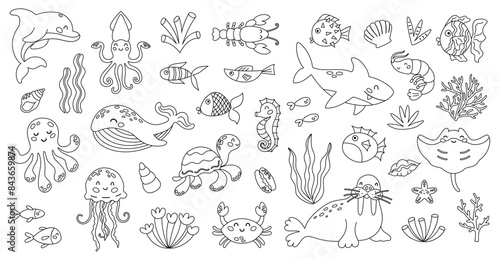 Cute sea animals characters in cartoon style. Coloring book isolated on white background.
