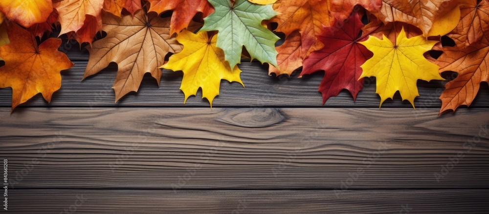Background texture concept Autumn colorful leaves on wooden texture in frame Maple and oak dried leaf lay on brown background Autumn background wood and fallen leaves. copy space available Background texture concept Autumn colorful leaves on wooden texture in frame Maple and oak dried leaf lay on brown background Autumn background wood and fallen leaves. copy space available