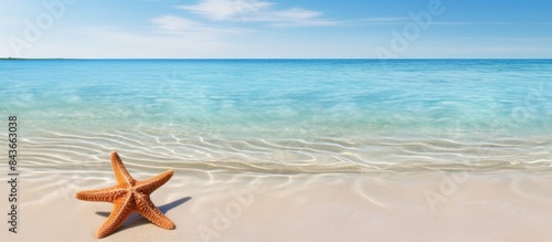 Starfish at the bottom of a calm sea serenity paradise beach background with copy space