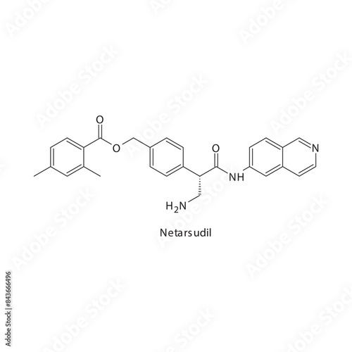Netarsudil flat skeletal molecular structure Anti glaucoma drug used in Glaucoma treatment. Vector illustration scientific diagram.
