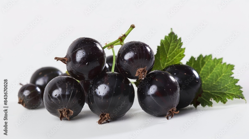 Isolated Black Currant Isolated Black Currant