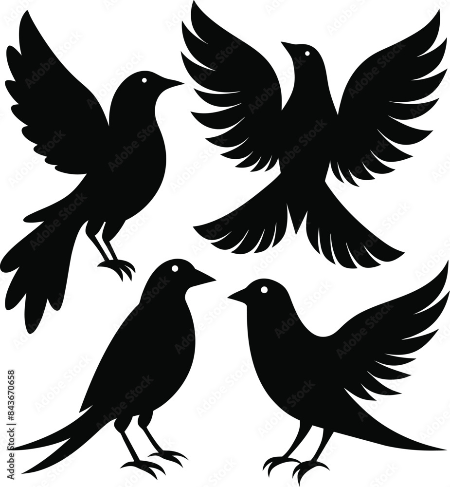 Fototapeta premium set of black bird silhouettes vector elements vector