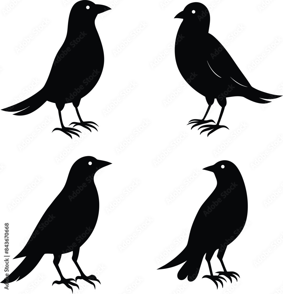 set of black bird silhouettes vector elements vector set of black bird silhouettes vector elements vector