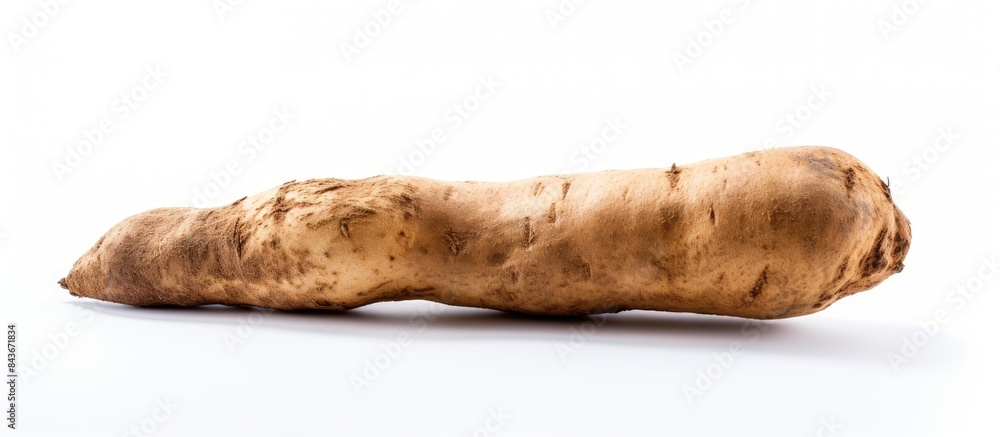 Chinese yam on white background. copy space available Chinese yam on white background. copy space available