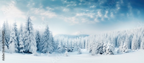 christmas background of snowy winter landscape with snow or hoarfrost covered fir trees and copy space winter magic holiday © Gular