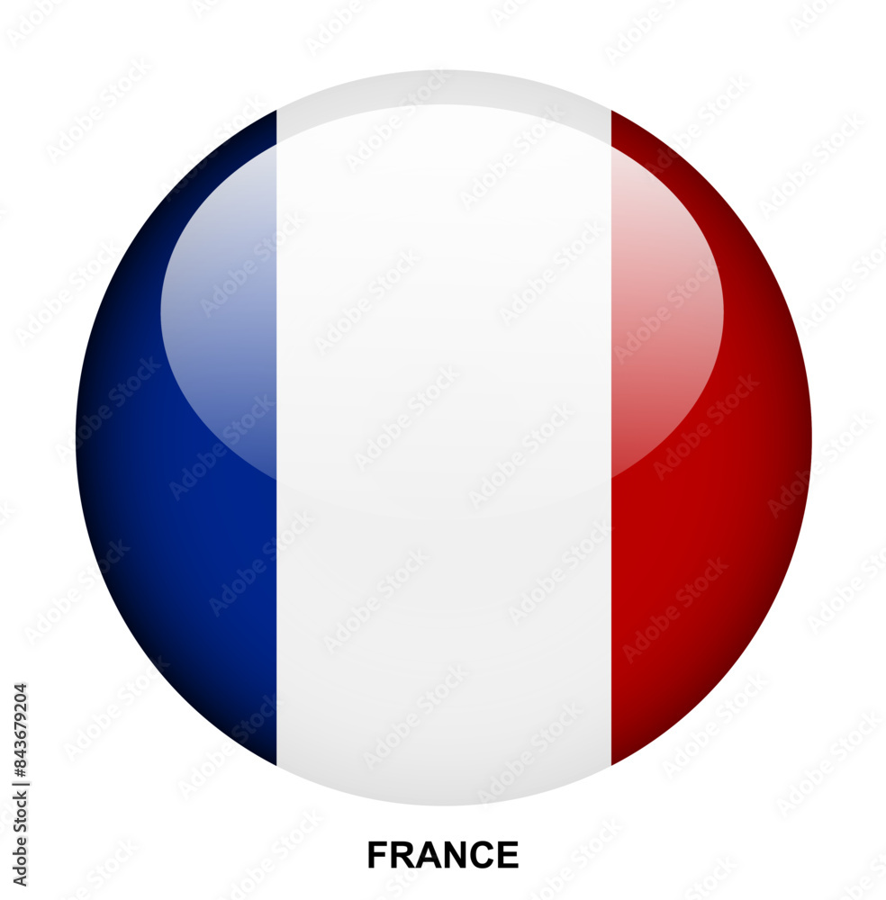 FRANCE flag button on white background FRANCE flag button on white background