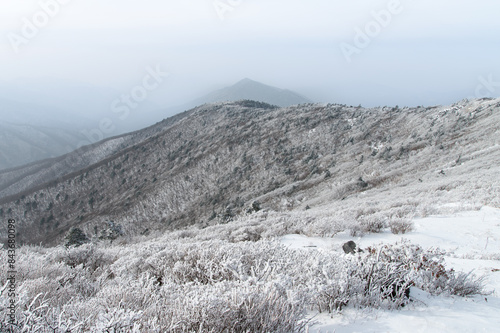 View of the snow-covered mountain photo