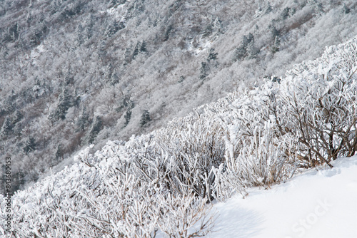 View of the snow-covered mountain photo