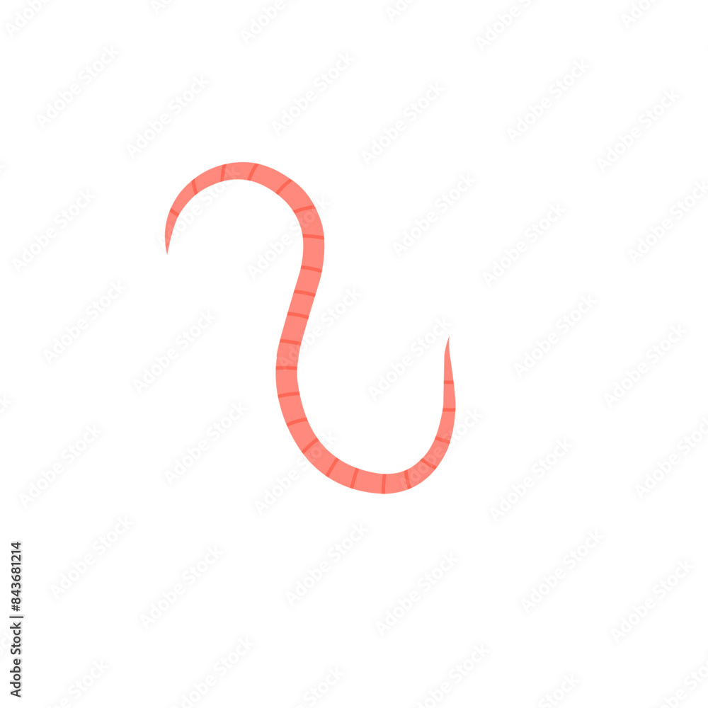pinworms vector pinworms vector