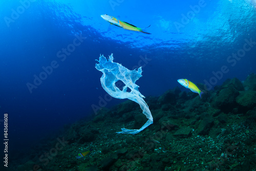 Wallpaper Mural Brightly coloured fish surround a plastic bag floating in the ocean.
 Torontodigital.ca