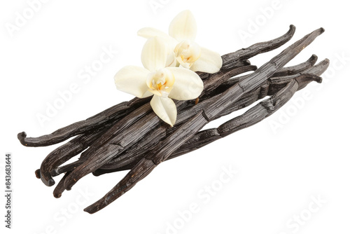 Fresh Vanilla Beans with White Orchid Flowers Isolated on White Background - Aromatic and Natural Ingredients for Culinary and Fragrance Use photo