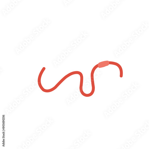 red worm vector 