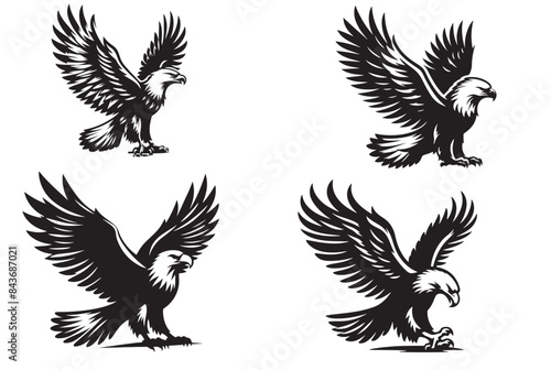 eagle silhouette vector illustration