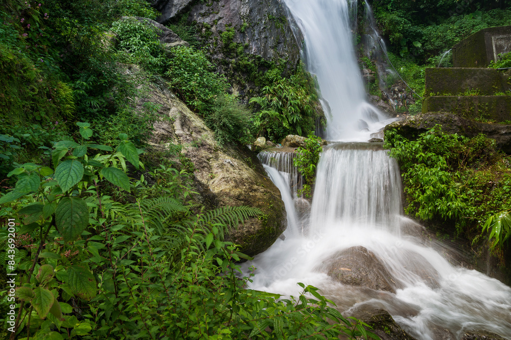 Beautiful Paglajhora waterfall on Kurseong, Himalayan mountains of Darjeeling, West Bengal, India. Origin of Mahananda River flowing through Mahananda Wildlife Sanctuary, Siliguri and Jalpaiguri. Beautiful Paglajhora waterfall on Kurseong, Himalayan mountains of Darjeeling, West Bengal, India. Origin of Mahananda River flowing through Mahananda Wildlife Sanctuary, Siliguri and Jalpaiguri.