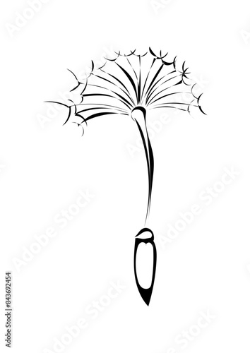 Pusteblume 