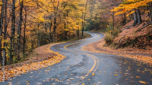 Colorful yellow orange foliage in autumn fall season in Blackwater Falls State Park in West Virginia with paved asphalt curvy winding road driving point of view : Generative AI photo