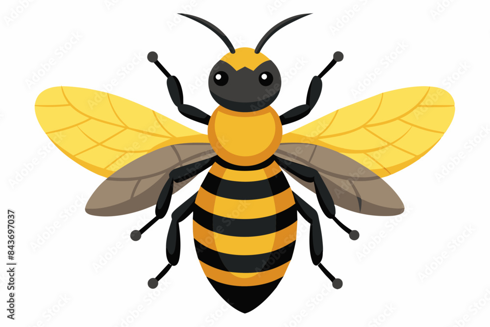 Fototapeta premium cute bee vector art work and illustration