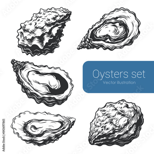 Oysters ink sketches set Isolated on white background. Hand drawn vintage vector illustration in engraving style for oyster farm, seafood restaurant menu.