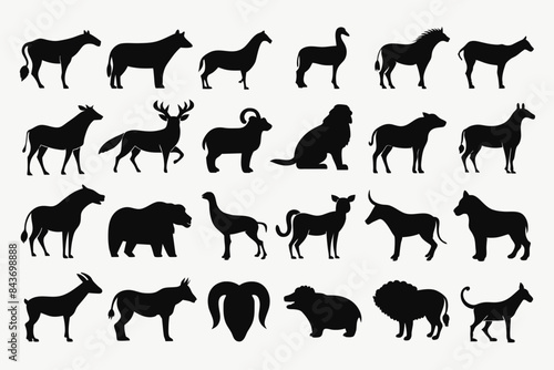 animals icons