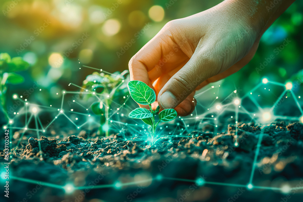 Harmony of Nature and Technology: Sustainable Seed Planting and Digital Technology Fusion Harmony of Nature and Technology: Sustainable Seed Planting and Digital Technology Fusion