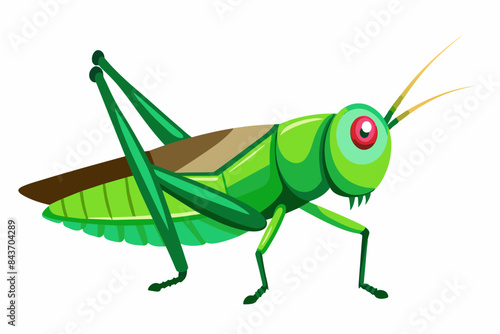 grasshopper vector art work and illustration,