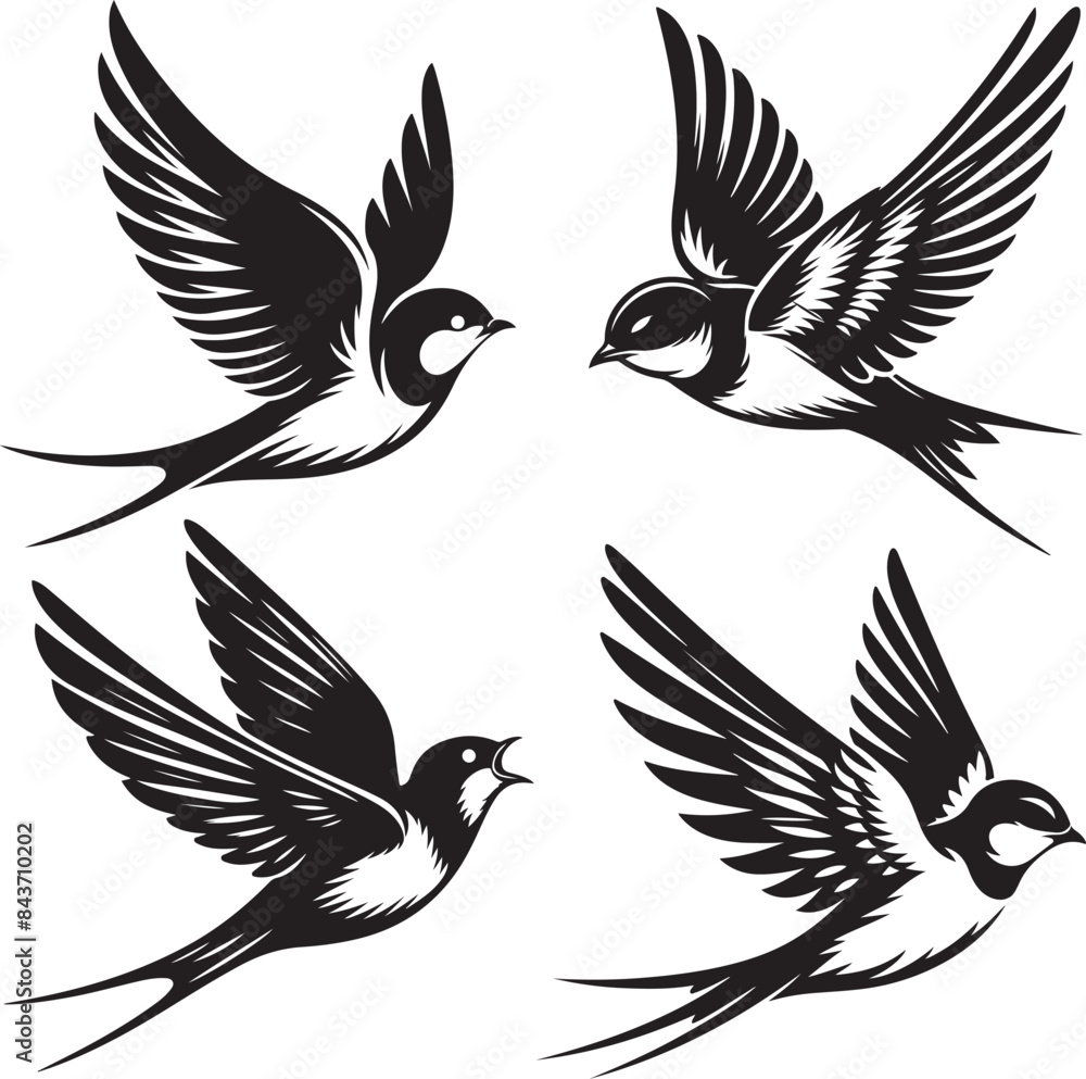 Fototapeta premium A beautiful bird Swallow vector silhouette image