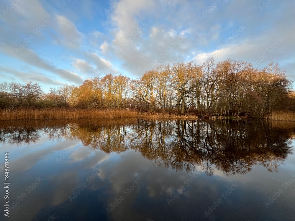 reflection of trees in the water reflection of trees in the water