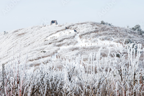 View of the snow-covered mountain photo