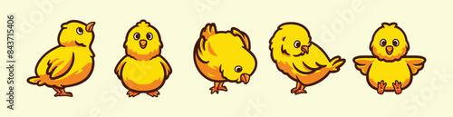 Yellow Little Chick set pack collection cartoon character vector illustration icon