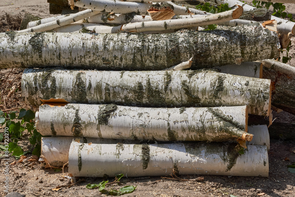 Birch logs for the fireplace and bath dry outdoors.