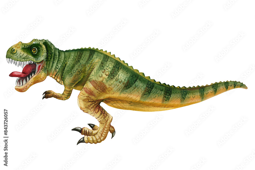 Fototapeta premium Dinosaur isolated on white background. Hand painted watercolor dinosaurs illustration, T-Rex tyrannosaur realistic