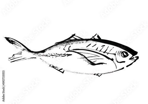 魚（鯵）の和風手書きイラスト　右向き　線画