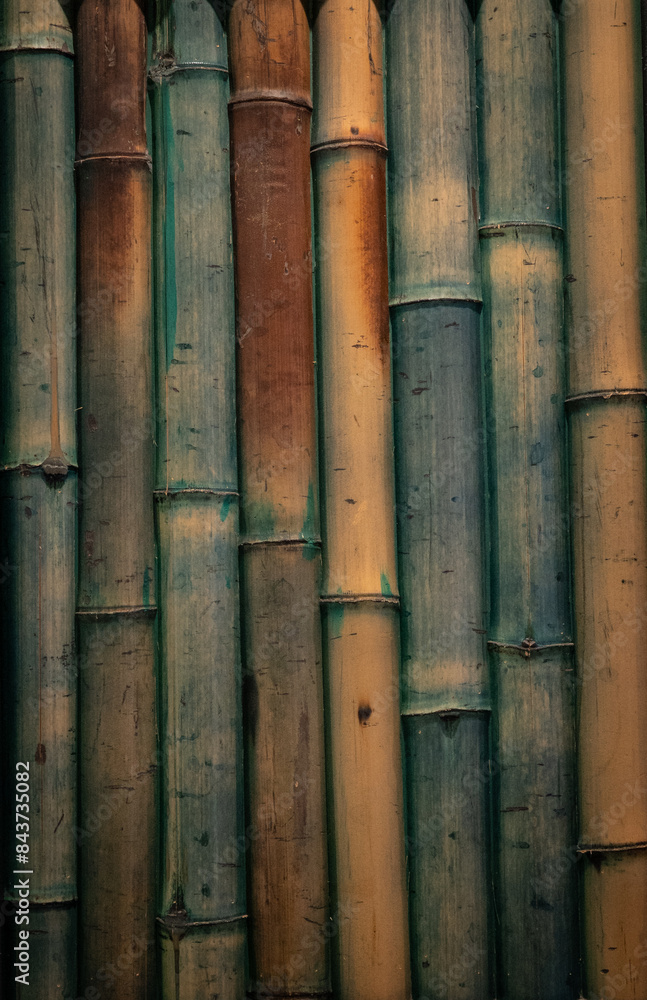 The backgrounds of bamboo trunks The backgrounds of bamboo trunks