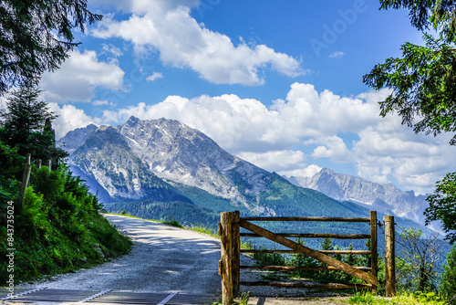 landscape with fence