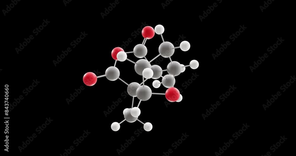 Cantharidin molecule, rotating 3D model of terpenoid, looped video on a black background Cantharidin molecule, rotating 3D model of terpenoid, looped video on a black background