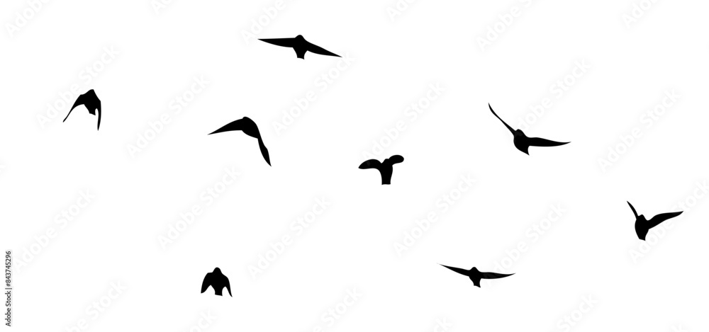 Flying birds silhouette flock. Not AI, Free birds abstraction . Vector illustration Flying birds silhouette flock. Not AI, Free birds abstraction . Vector illustration