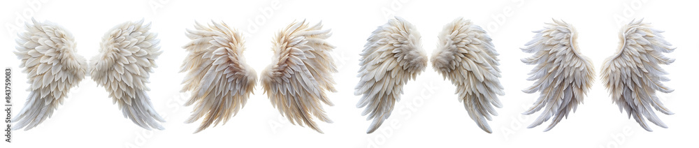 Fototapeta premium Collection of Detailed Feathered Angel Wings Illustrations in Various Styles