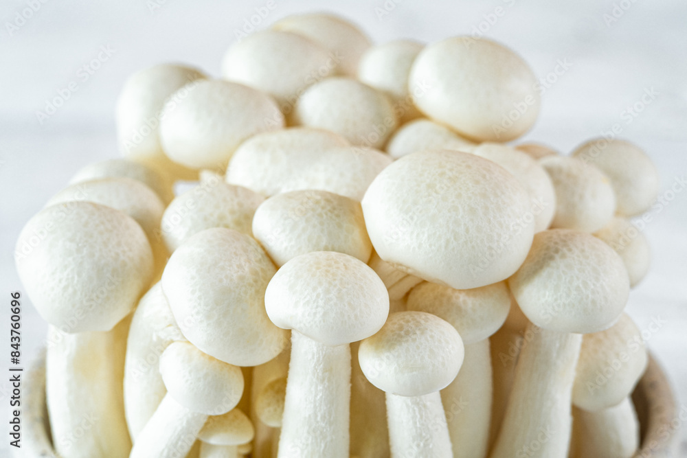 Fresh Uncooked Bunapi White Shimeji Edible Mushrooms from Asia, Rich in Umami Tasting Compounds Such as Guanylic and Glutamic Acid. White Beech Mushroom in a Ceramic Bowl Fresh Uncooked Bunapi White Shimeji Edible Mushrooms from Asia, Rich in Umami Tasting Compounds Such as Guanylic and Glutamic Acid. White Beech Mushroom in a Ceramic Bowl