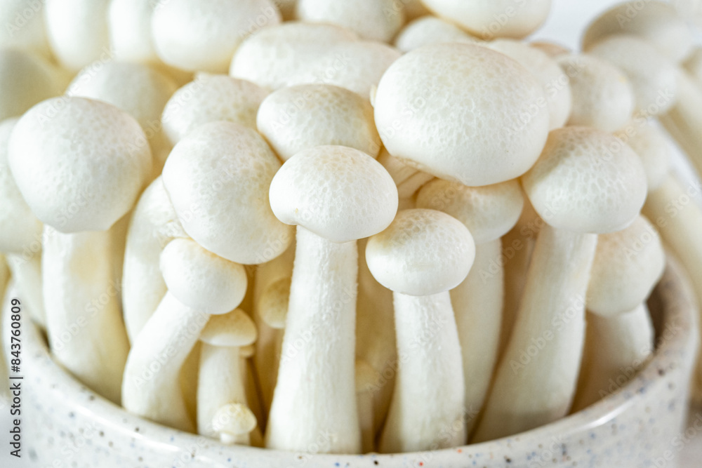 Fresh Uncooked Bunapi White Shimeji Edible Mushrooms from Asia, Rich in Umami Tasting Compounds Such as Guanylic and Glutamic Acid. White Beech Mushroom in a Ceramic Bowl Fresh Uncooked Bunapi White Shimeji Edible Mushrooms from Asia, Rich in Umami Tasting Compounds Such as Guanylic and Glutamic Acid. White Beech Mushroom in a Ceramic Bowl