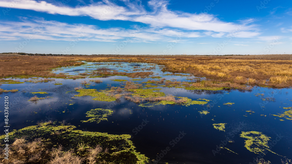 Sunny day at the Brazos Bend State Park