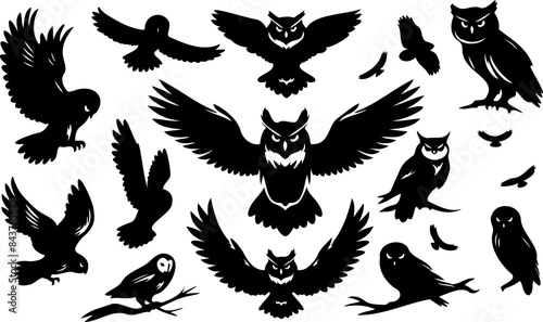 Silhouette Illustrations of Owl, Birds of Prey