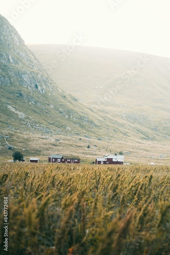 view from the hill