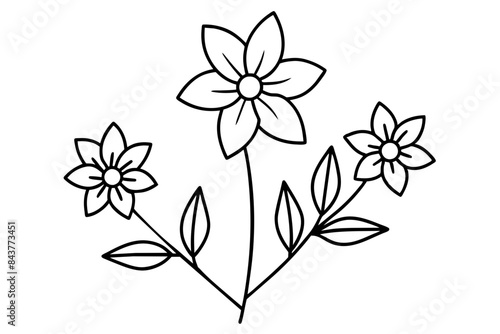 hand drawn floral flowers line art vector illustration