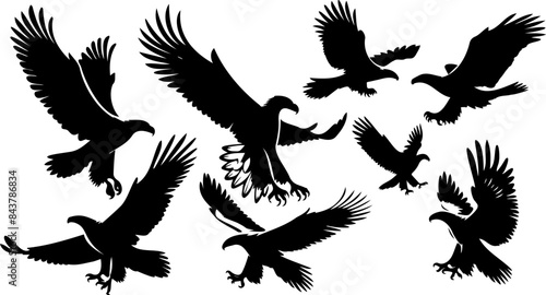 Silhouettes of Sea Eagle Birds of Prey Illustrations