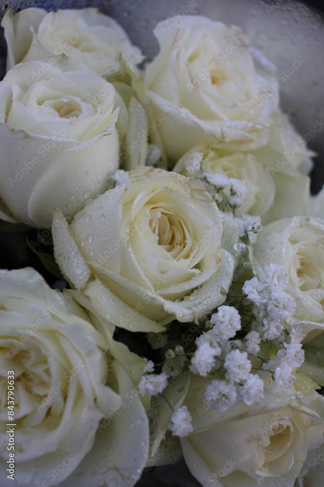 Obraz premium white roses bouquet