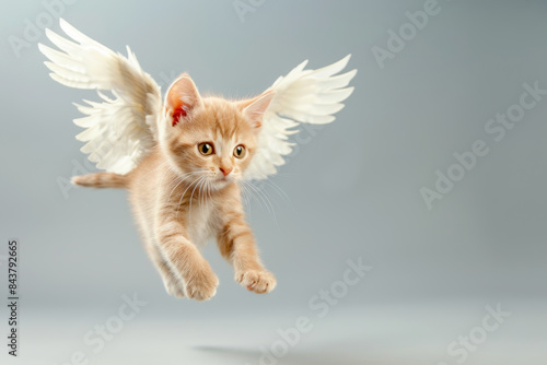 A whimsical image of a ginger kitten with angel wings, flying against a clean, neutral background, creating a fantastical and endearing scene.