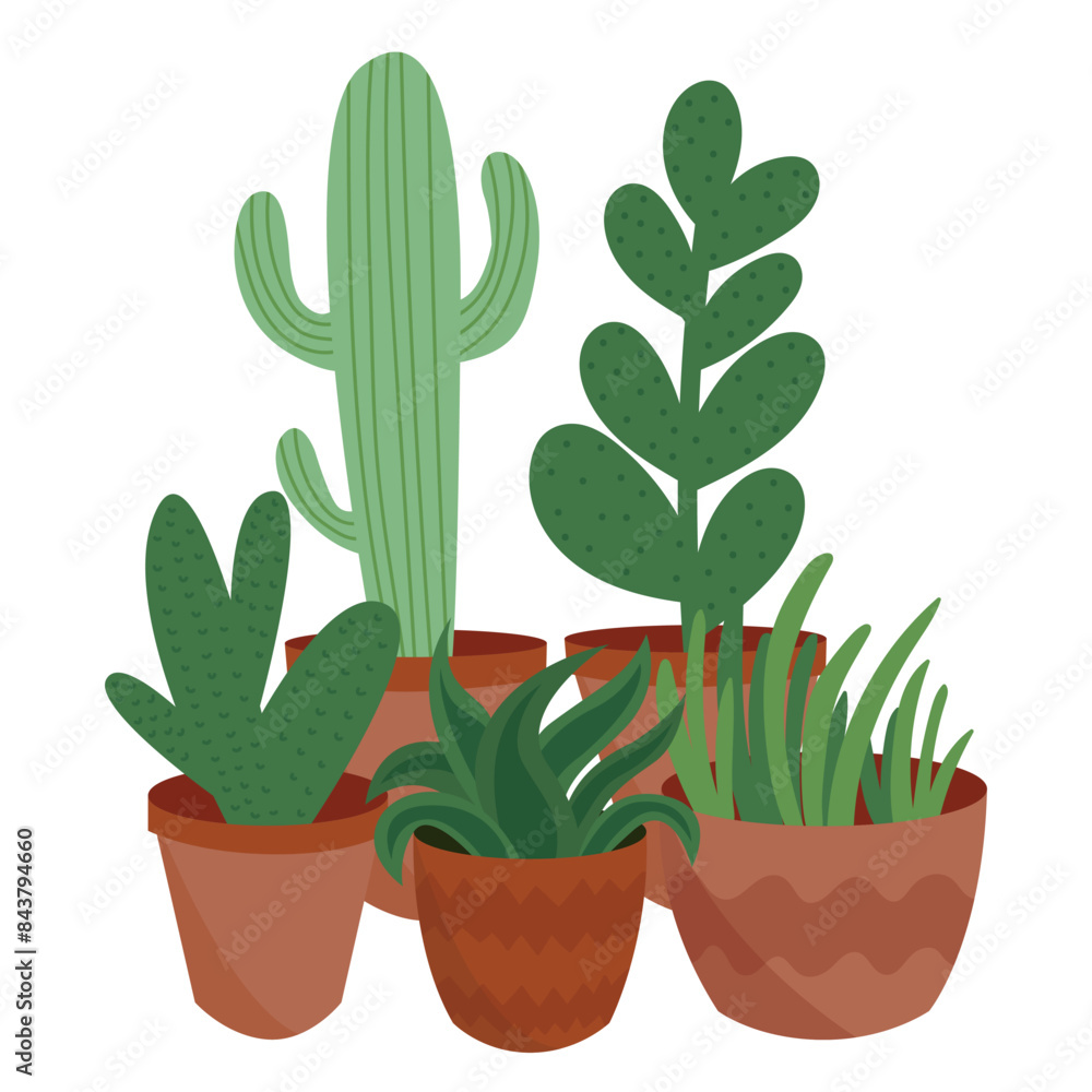 Set of succulent plants in ceramic pots vector flat Set of succulent plants in ceramic pots vector flat