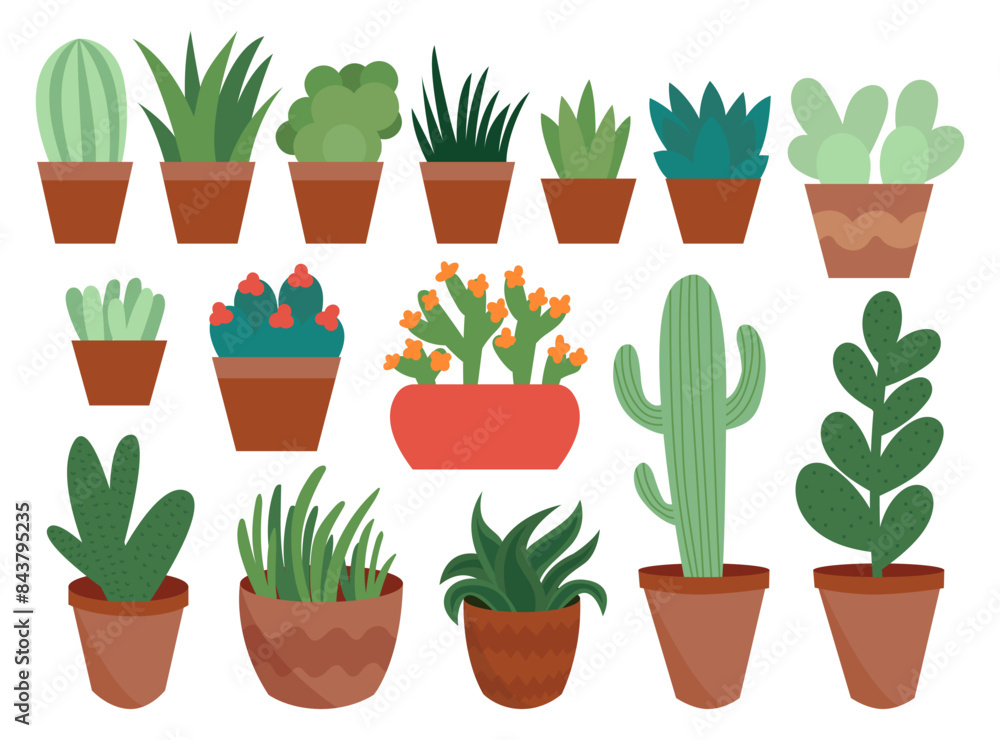 Big set with cactus and succulent plants vector flat Big set with cactus and succulent plants vector flat