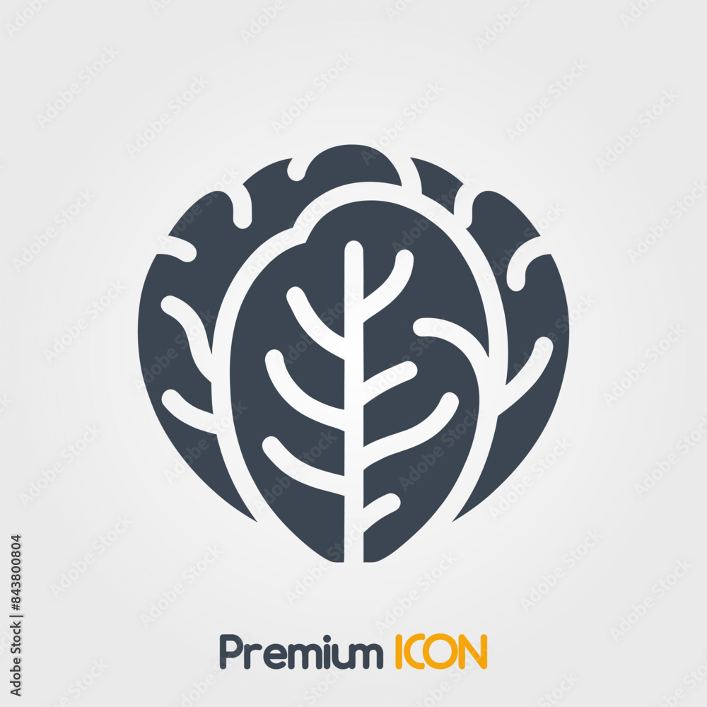 Napa cabbage Icon